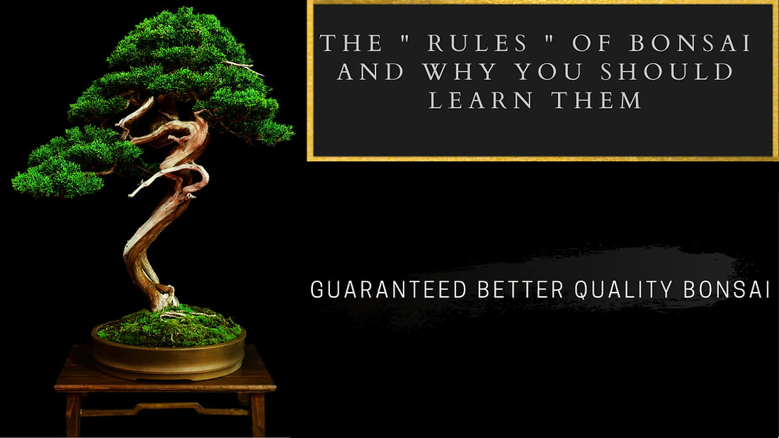 Bonsai Rules