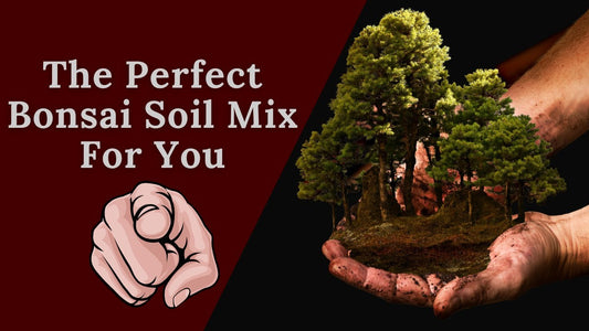 Secrets Revealed: The Ultimate Recipe for a Perfect Bonsai Soil Mix!