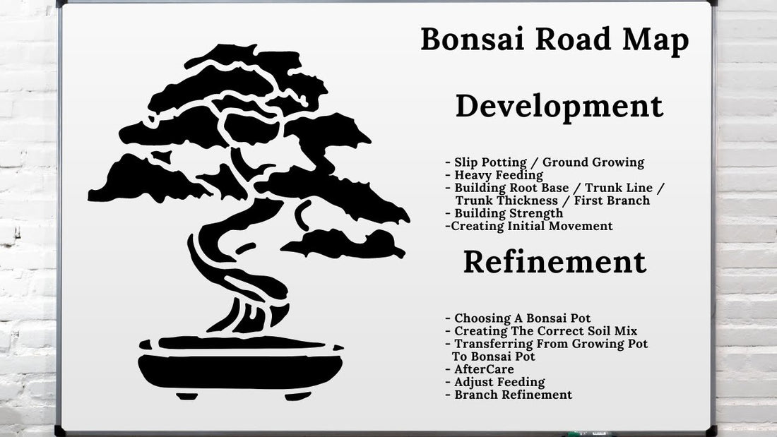 Bonsai Road Map