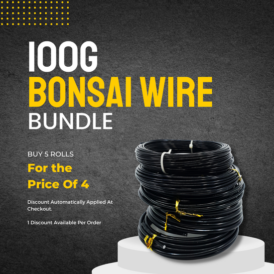 100g Bonsai Wire