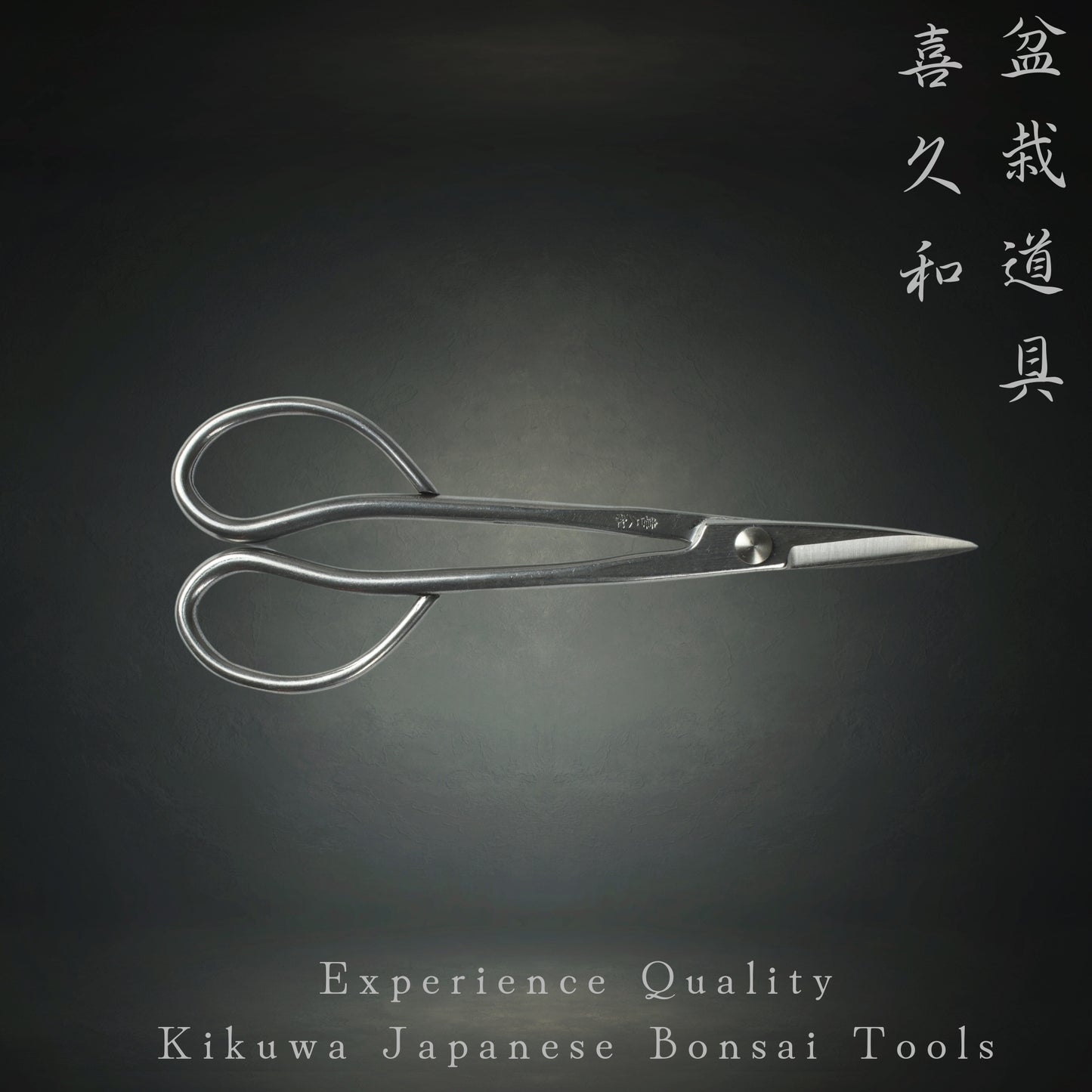 Stainless steel japanese bonsai bud scissors