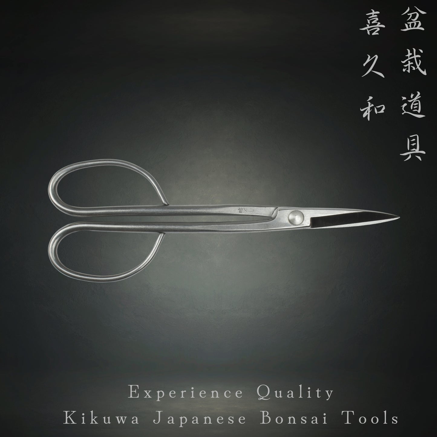 long stainless steel japanese bonsai scissors