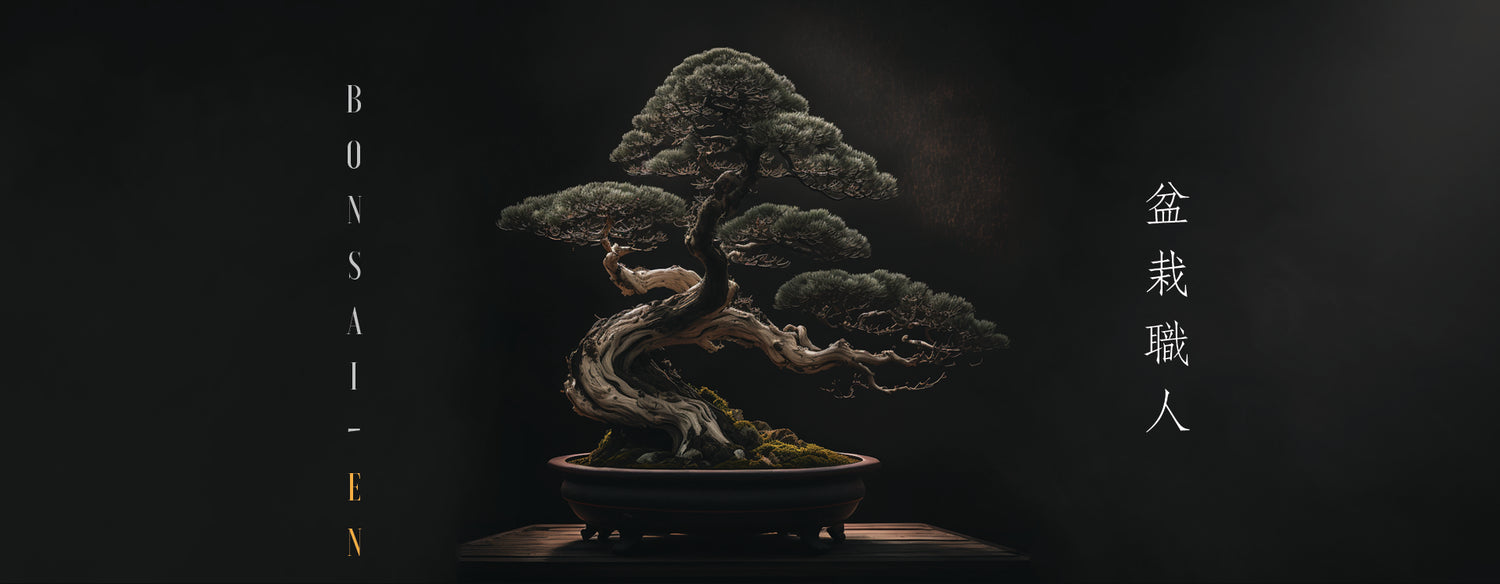 Online bonsai Shop