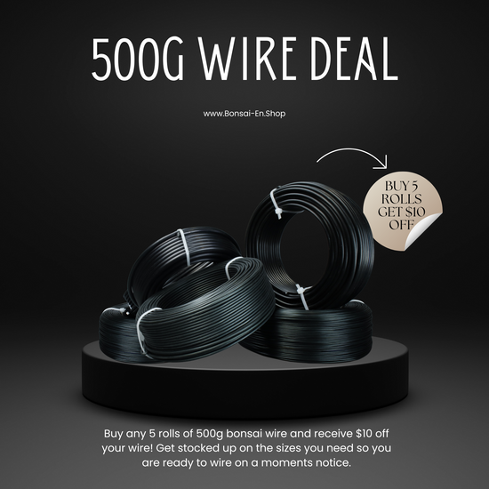 Cheap 500g Bonsai Wire 