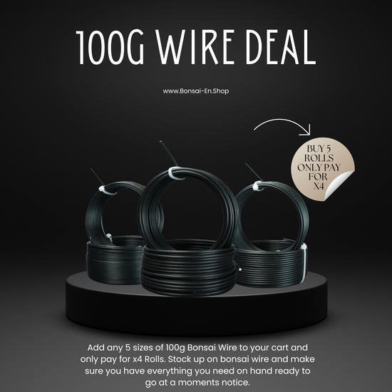 Cheap 100g Bonsai Wire 