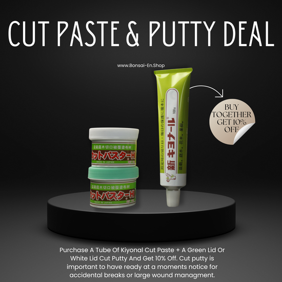 bonsai cut paste deal