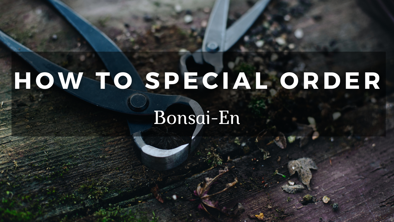 Load video: Special Order Bonsai Tools