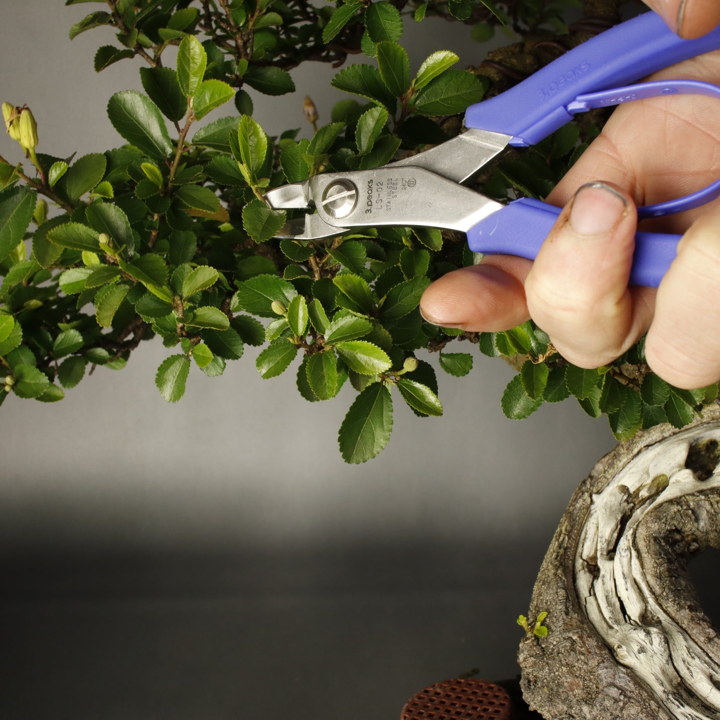 165mm Stainless Steel Bonsai Nipper LS-02