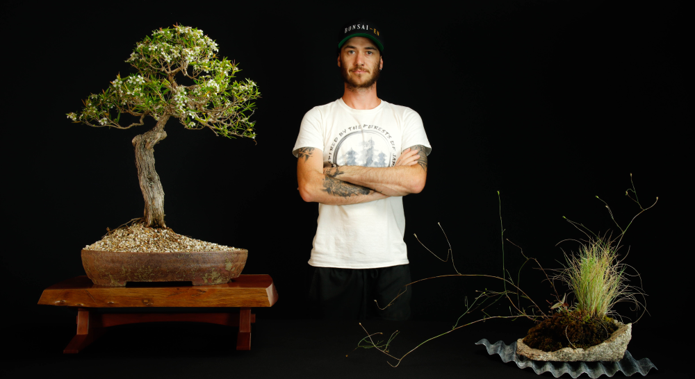 bonsai artist with bonsai tree