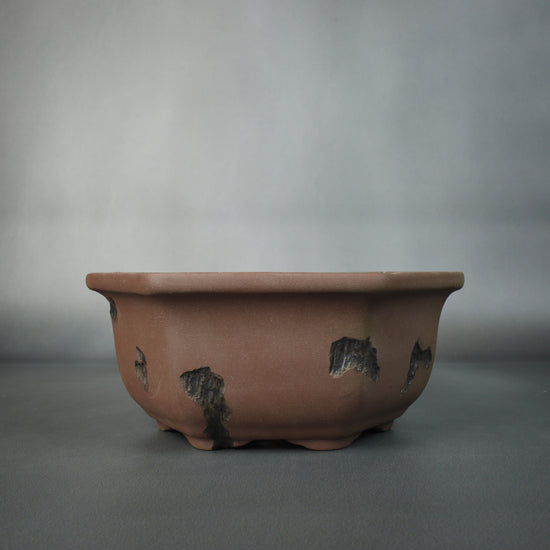 Willow Bonsai Pot