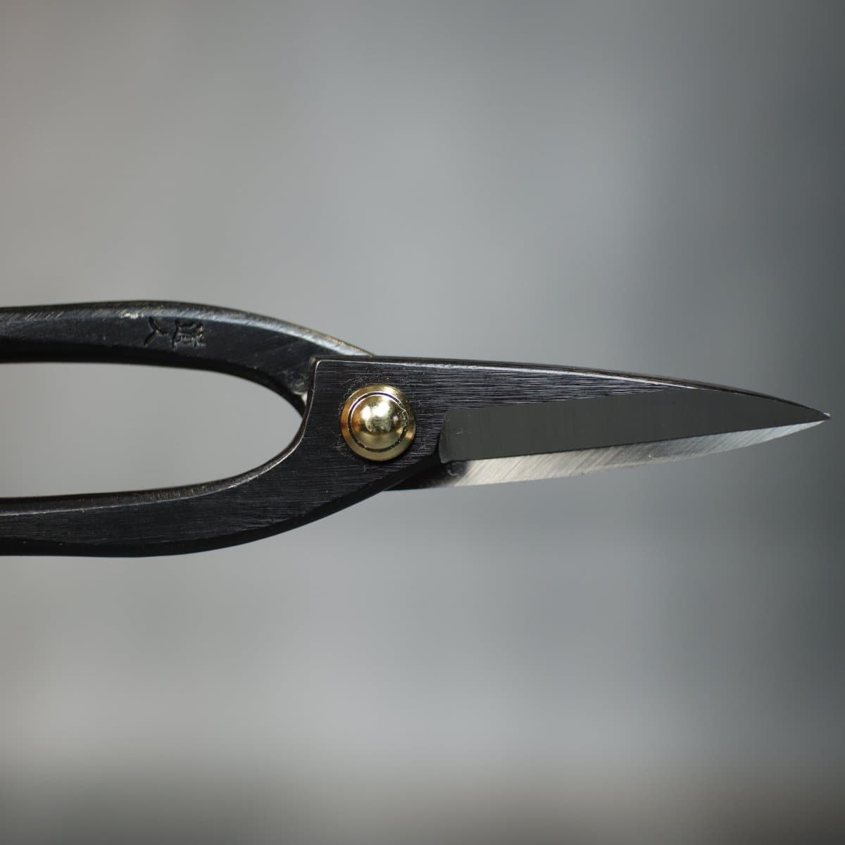 200mm Bonsai Scissors closed blade