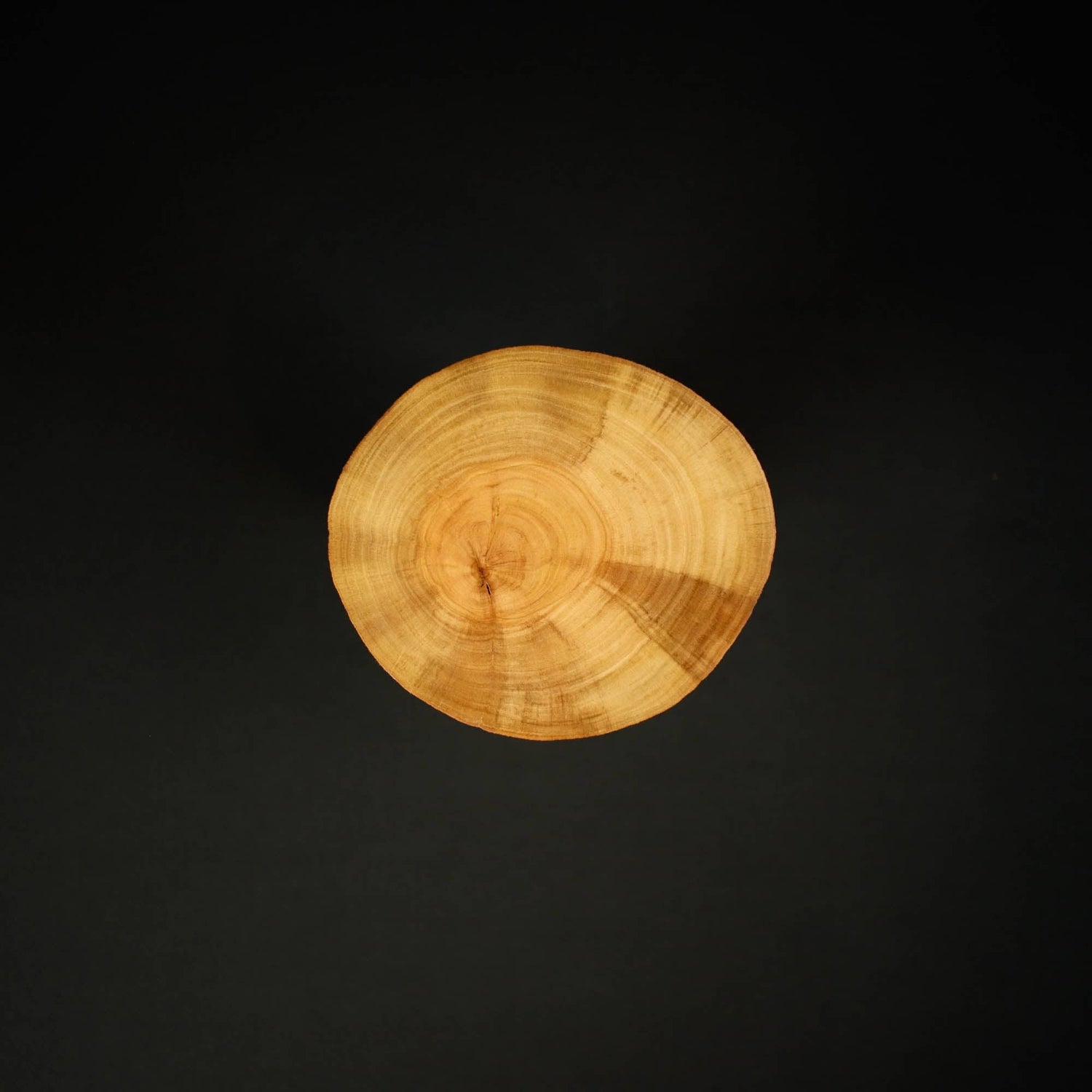 Bonsai Display Jita - Round Free Form 12cm Natural Colour