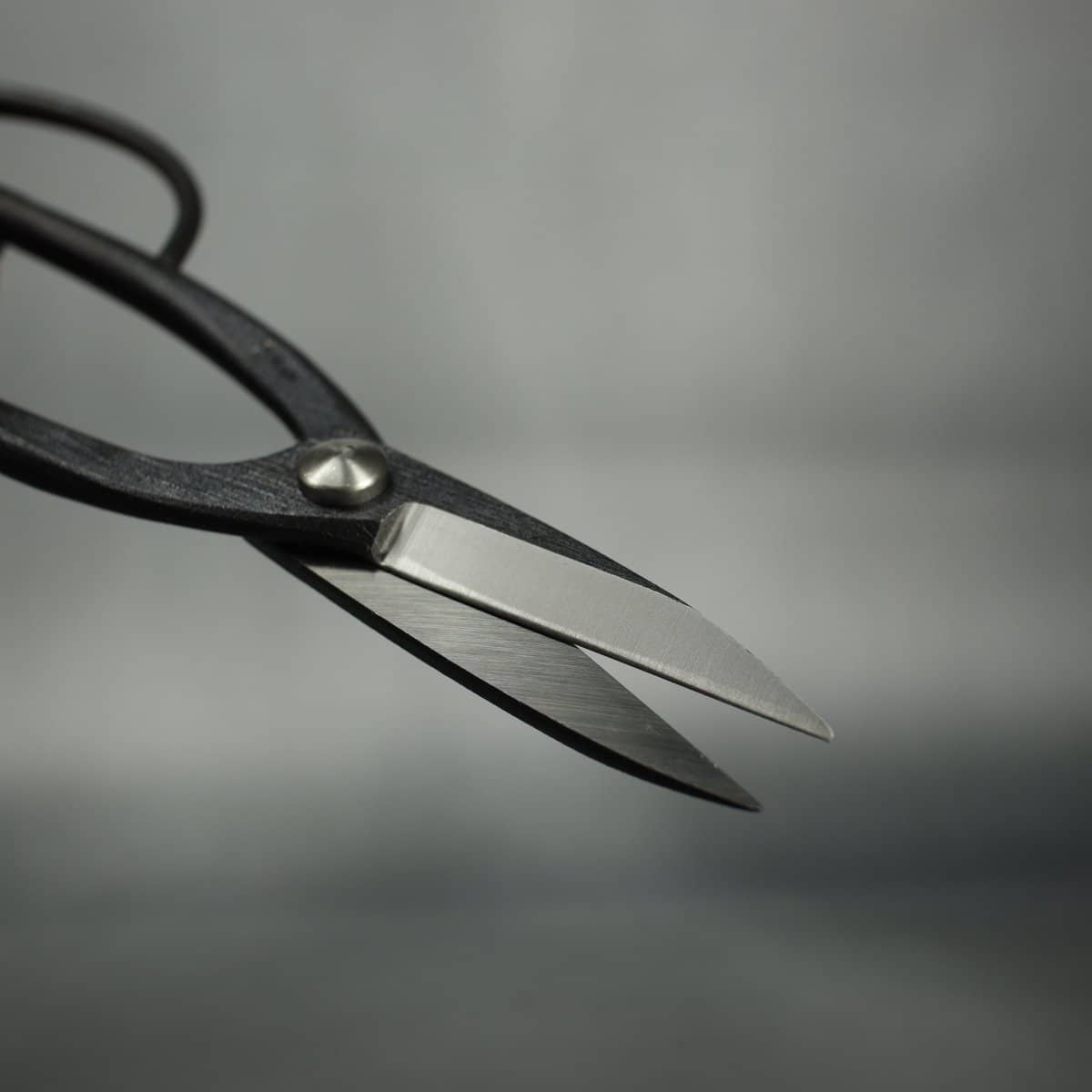 Kikuwa 200mm Aogami Steel Craftsman Professional Bonsai Scissors