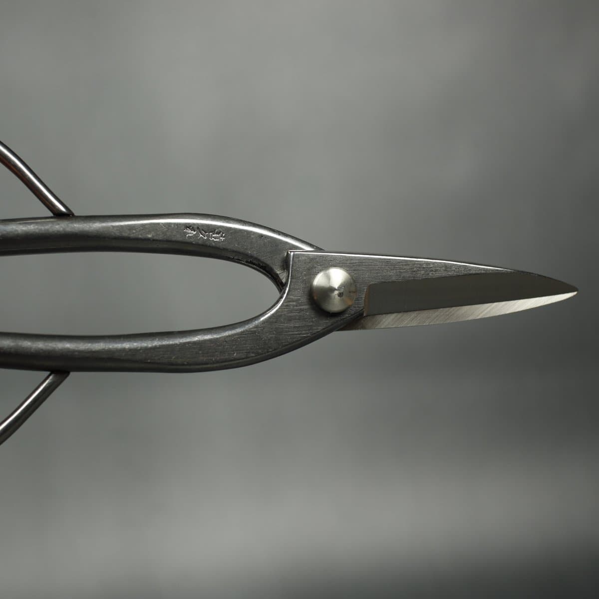 210mm Stainless Steel Bonsai Scissors closed blades