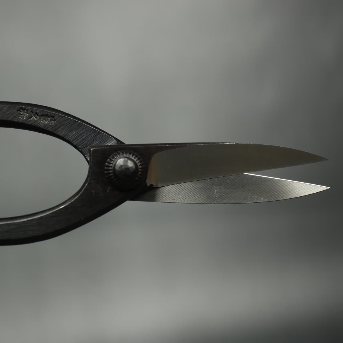 SK5 Carbon Steel Bonsai Scissors Open Blades