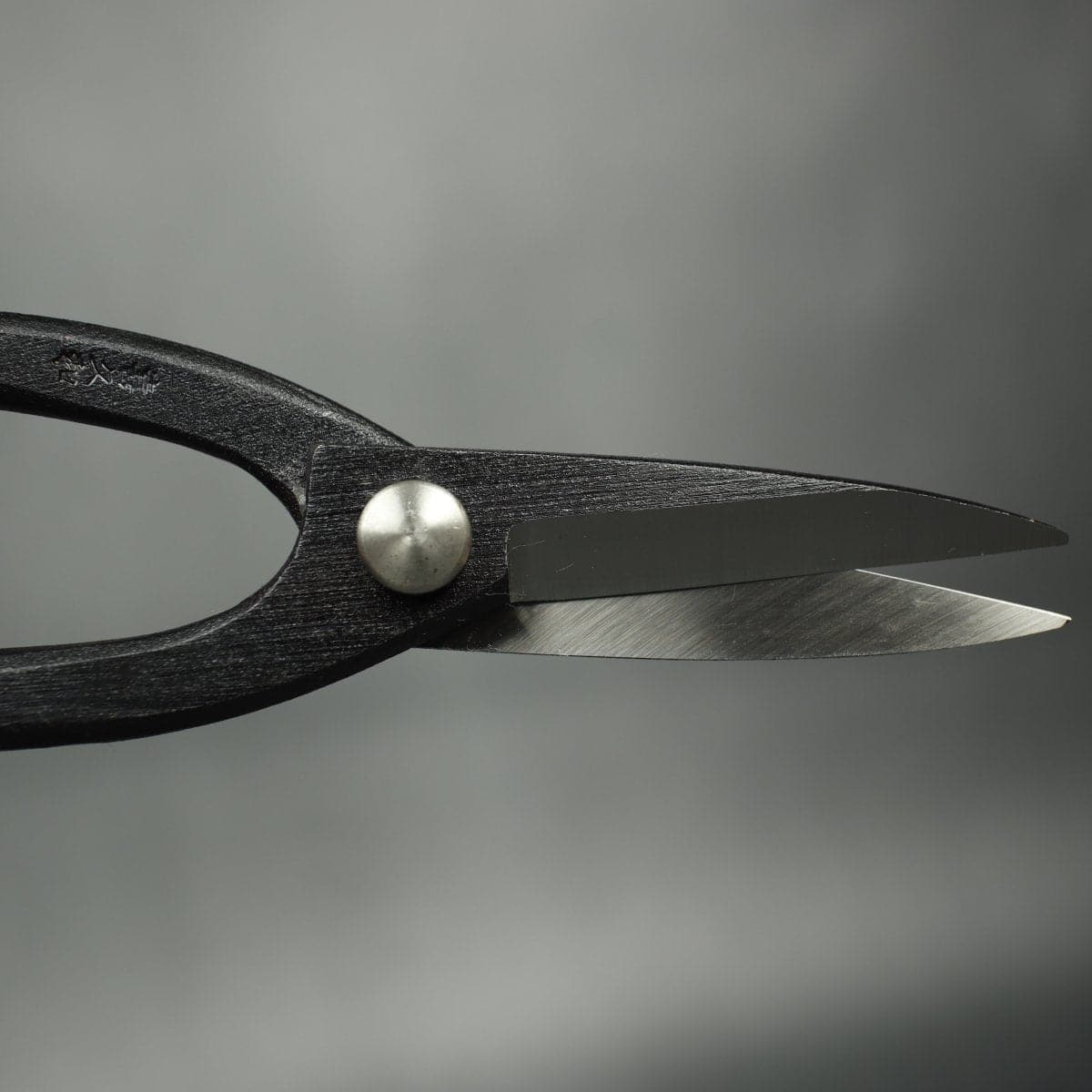 Craftsman Bonsai Scissors open blades
