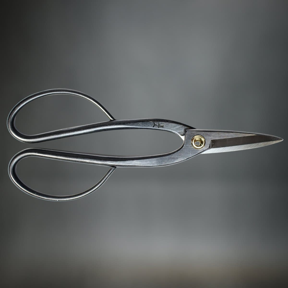 professioal 200mm Bonsai Scissors