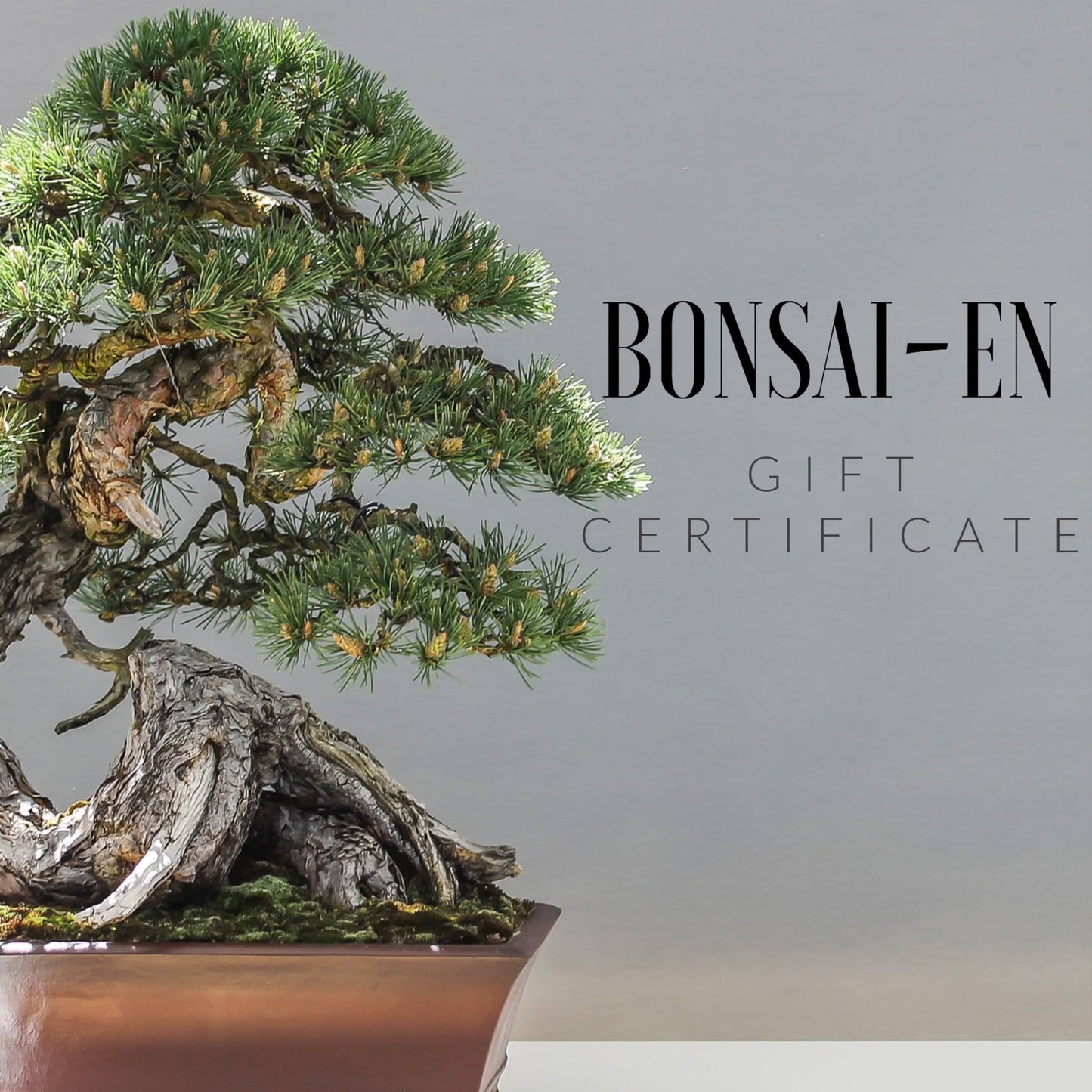 Bonsai-En Gift Certificate $10 - $100 - Bonsai-En