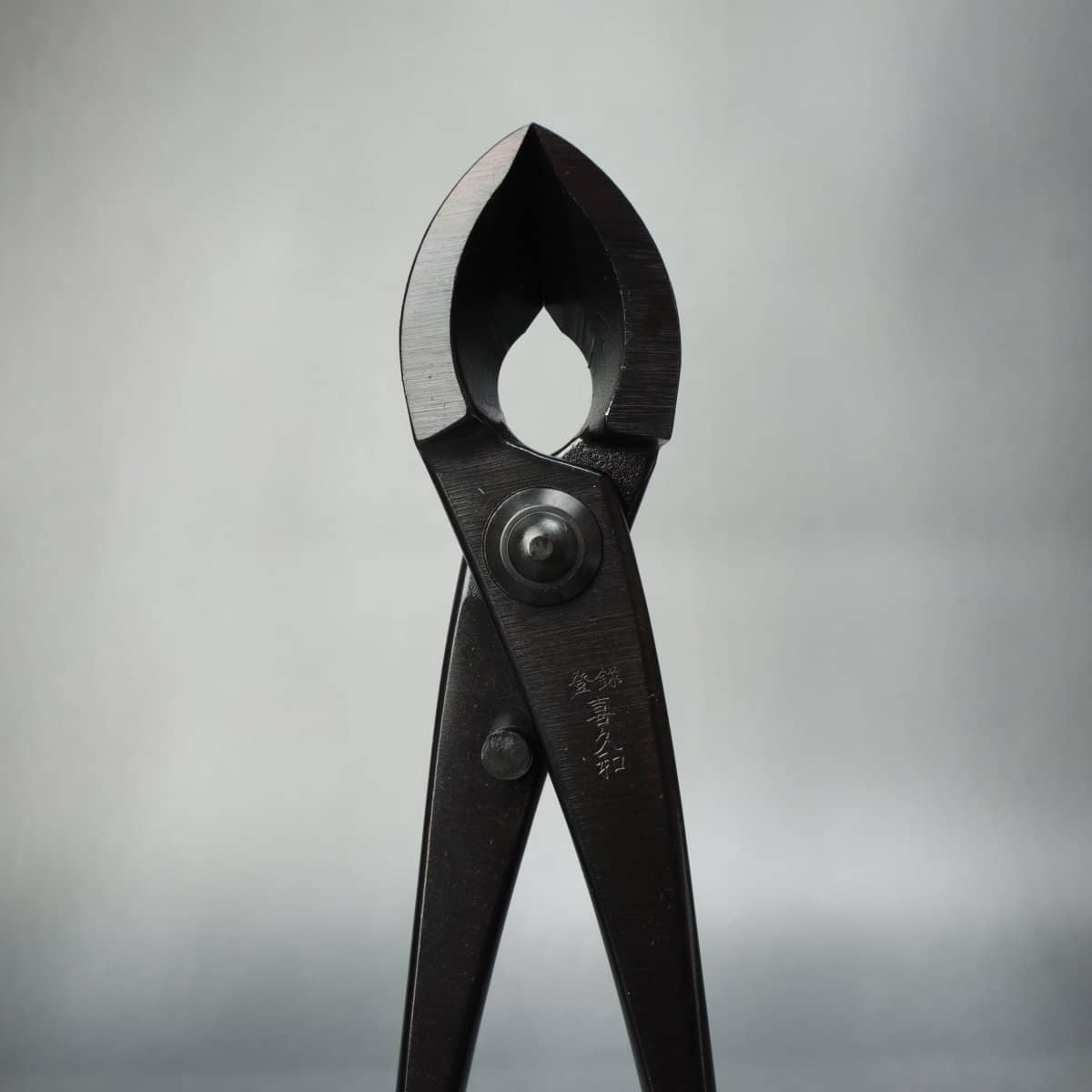 Kikuwa Bonsai Tool Kit 5 Piece Carbon Steel