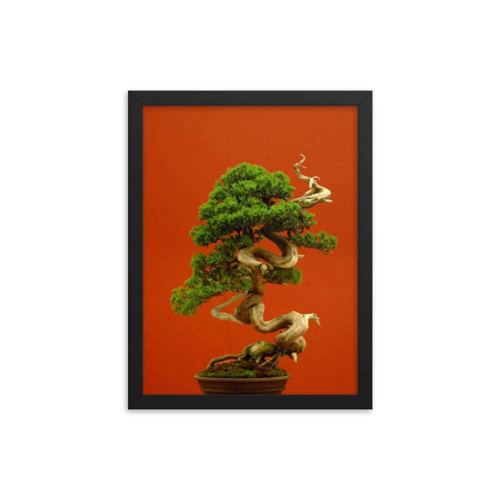 Red Juniper Display Print - Bonsai-En